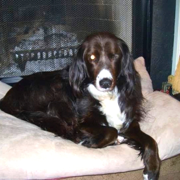 Meet your Posher, Nelson j. - Picture 3 of 4